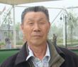 戈壁梭梭